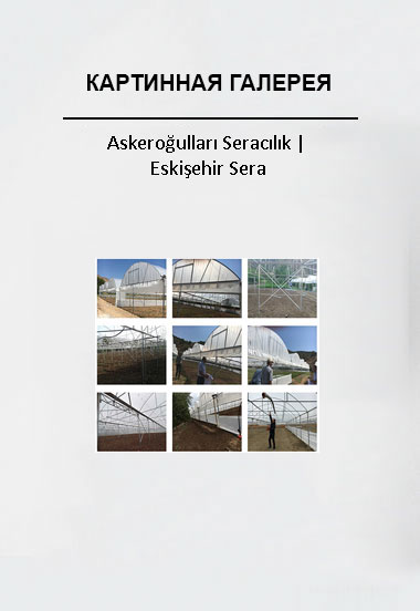 Askeroğulları Seracılık | Eskişehir Sera